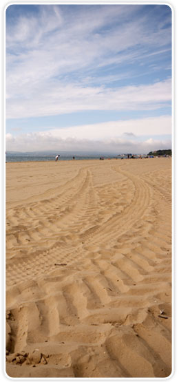 beach scene